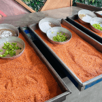 Makanan Masih Ada Tapi Langka dan Mahal, Warga Gaza Bertahan Hidup dengan Lentil