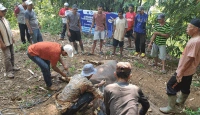 ARM HA-IPB Salurkan 245 Paket Kurban untuk Kampung Cipendawa, Sukajaya