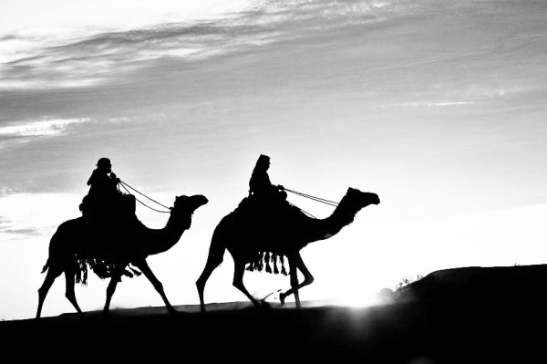 Sahabat Dunia dan Akhirat