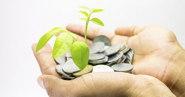 Masalah Pengelolaan Wakaf dari Berbagai Negara