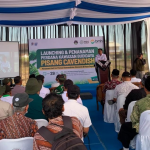 Laznas BMH dan Baitul Wakaf Resmikan Program Pertanian Pisang Cavendish