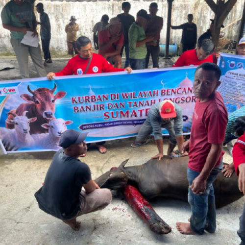 Giliran 280 Keluarga di Jorong Kubu Agam Terima Sapi Kurban Arm HA-IPBb