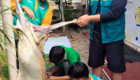 WIZ dan Rumah Tahfidz HRU Salurkan Daging untuk Masyarakat Padang