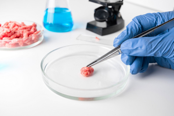 115 Pedagang Daging Sapi di Sejumlah Pasar Jabodetabek Negatif Mengandung Cemaran Babi