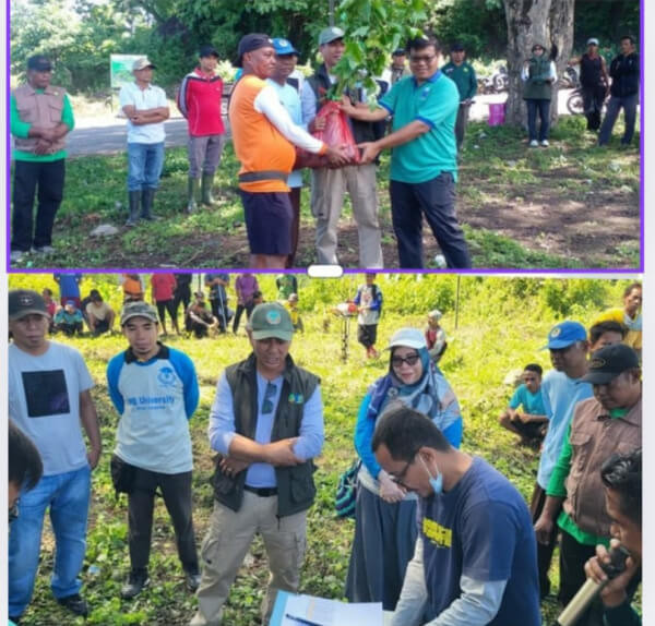 Cegah Krisis Air, Alumni IPB Kembangkan Demplot Rehabilitasi Lahan di Area Tangkapan Air Maria Donggo