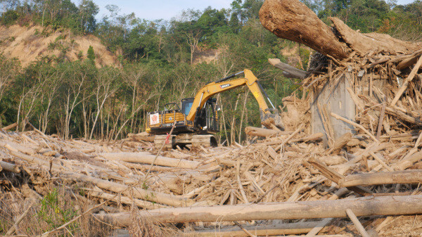 Tumpukan Kayu di Lubuk Sidup Aceh Tamiang Mulai Dibersihkan*