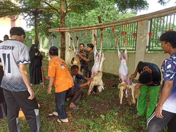 Ponpes Tahfidz Wahdah Islamiyah Cibinong Bogor Gelar Penyembelihan Hewan Qurban