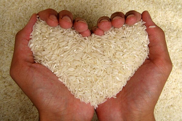 Zakat Fithri
