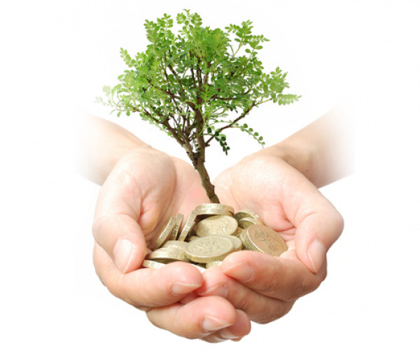 Majelis Tarjih Siapkan Rumusan Fikih Wakaf Baru